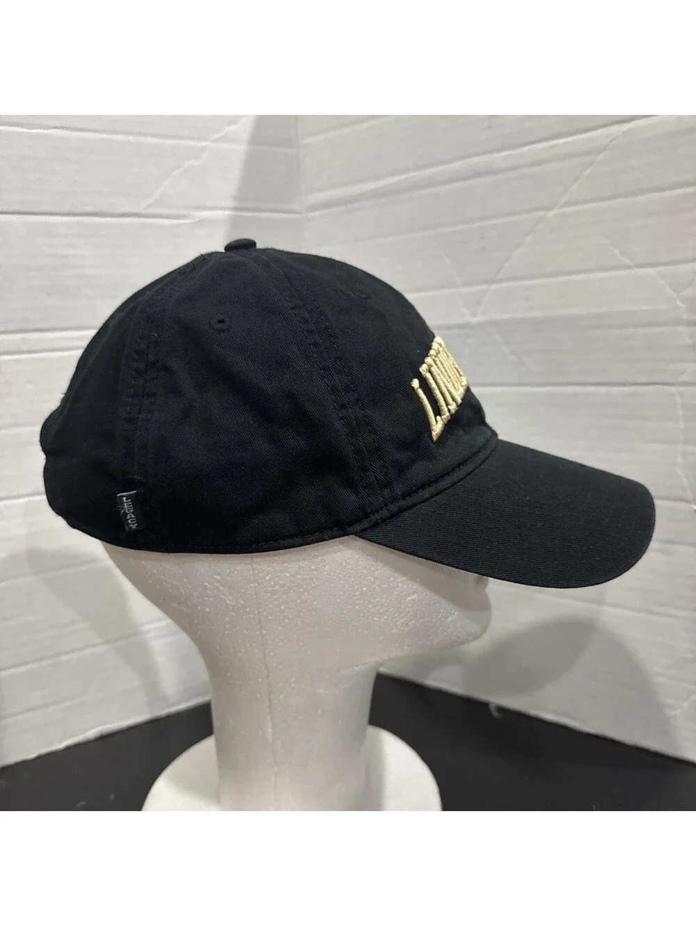 Lindewood University Missouri Leo The Lion NCAA Football Volleyball Baseball Cap